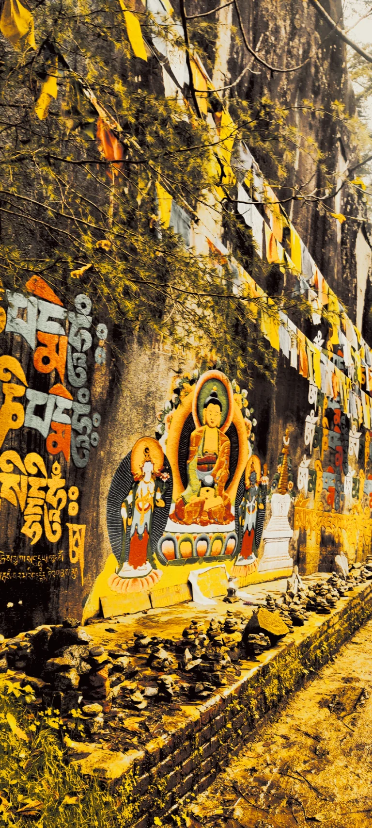 Top 6 Things To Do In Manali