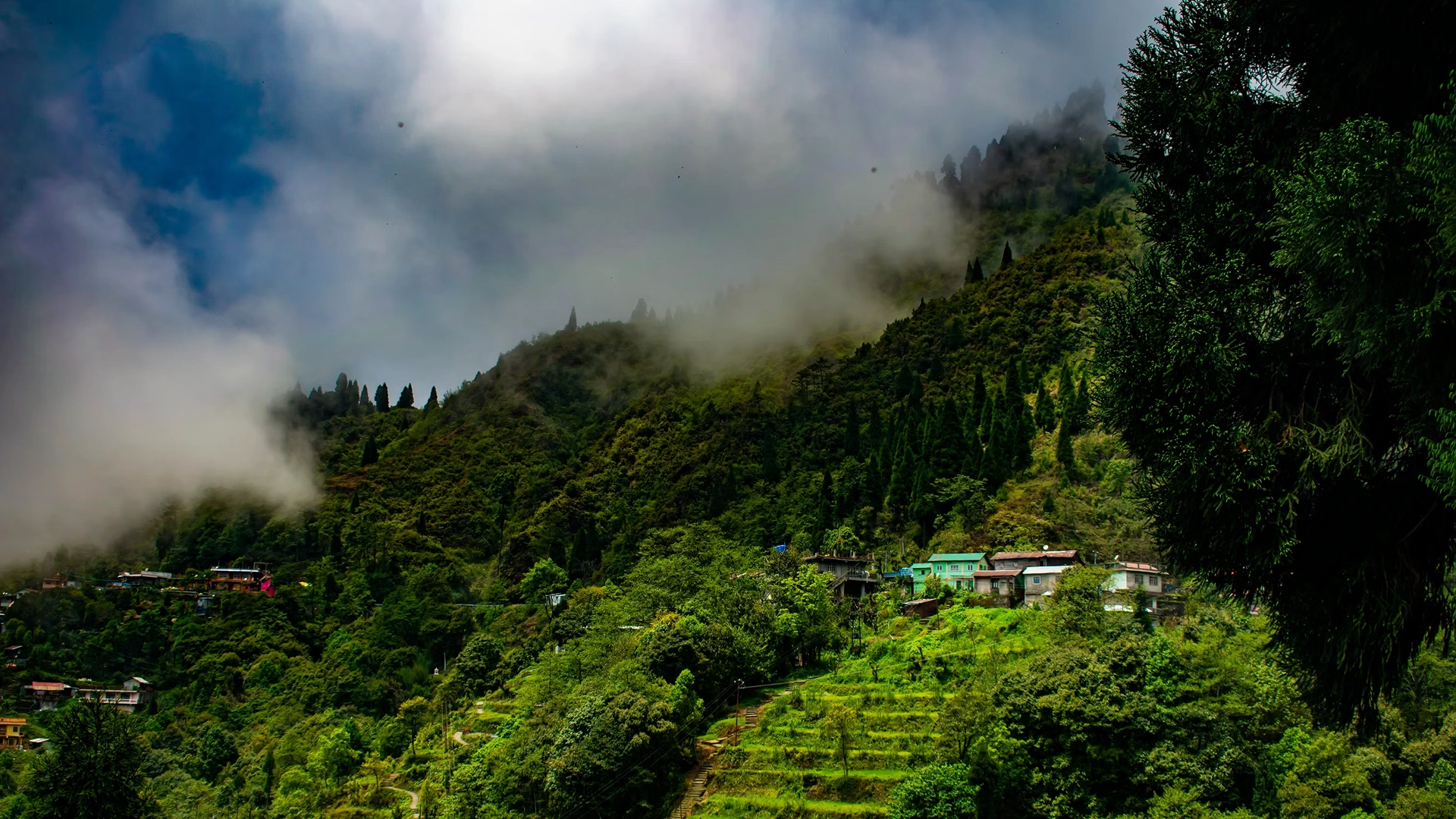 Darjeeling